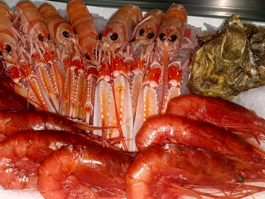Territorio costa paradiso uncategorized 2149